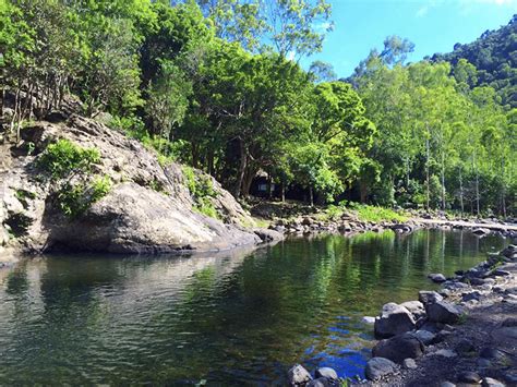 Hiking at Black River Gorges | 5.5 km / 3 hrs Trail - TRAVELHUB