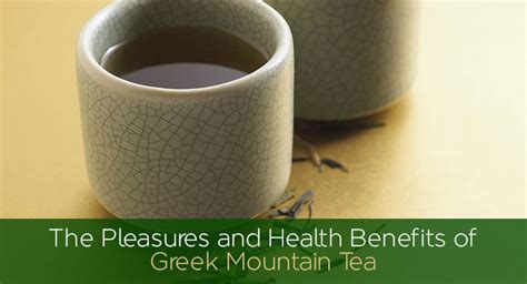 Greek Mountain Tea - Health Benefits of Greek Mountain Tea