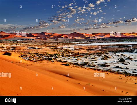 desert of namib with orange sand dunes Stock Photo - Alamy