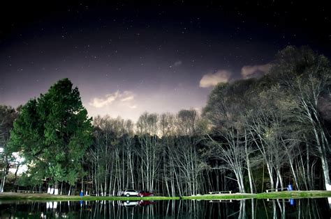 Forest Night Nature - Free photo on Pixabay - Pixabay