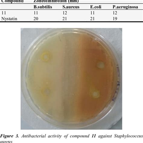 The Antimicrobial Activity Screening Compound 11. | Download Scientific Diagram