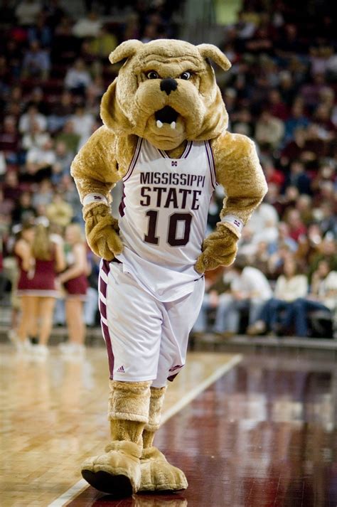 Mississippi State's Bully mascot settles wrongful injury case with ESPN - Chicago Tribune