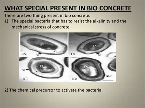 Bio concrete ppt