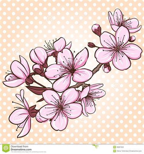 flor del cerezo dibujo - Buscar con Google | Cherry blossom drawing ...