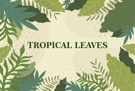 tropical leaf background templat 2513896 Vector Art at Vecteezy