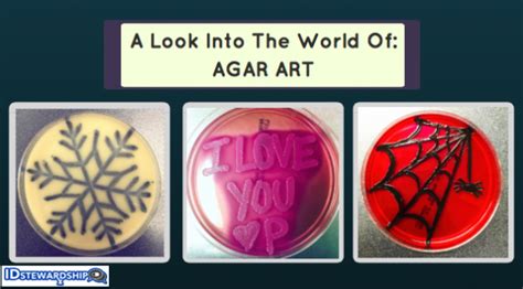 A Look Into The World Of Agar Art With Instagram's @Stylish_Streaking