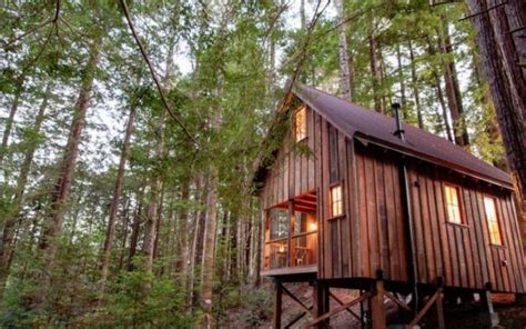 Add this cabin deep in a redwood forest to your must-visit list ...