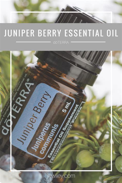 Juniper Berry Essential Oil • jillwiley.com