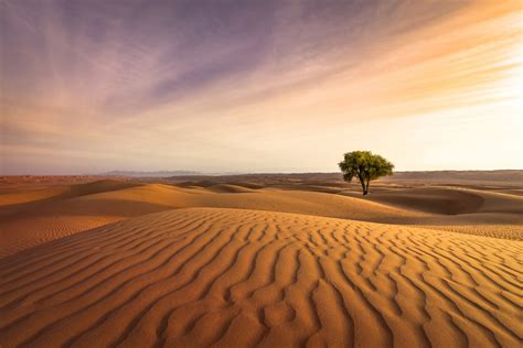 Entdeckt den geheimnisvollen Oman ☀ | Urlaubsguru