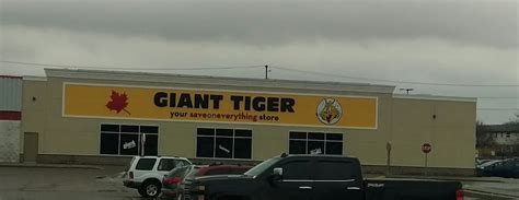 Giant Tiger - 1249 London Rd, Sarnia, ON N7S 4T3, Canada