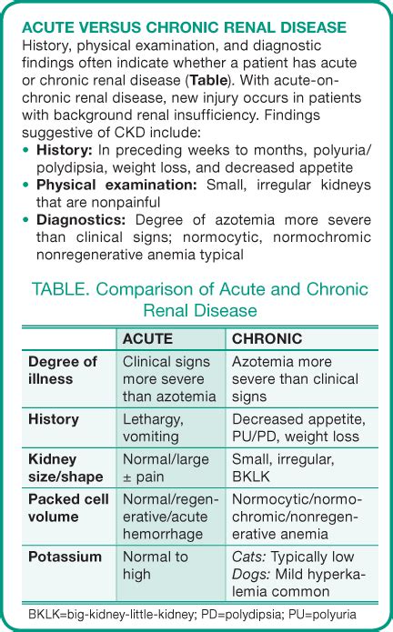 Enalapril For Kidney Disease In Dogs - Quotes Marco