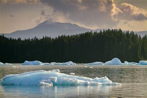 Inside Passage wildlife location in Alaska, North America | Wildlife Worldwide