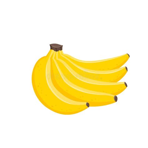 Vector Illustration of Bunches of Fresh Banana Isolated on White Stock Vector - Illustration of ...