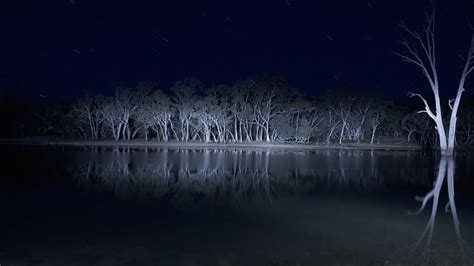 Lake Mungo’ watched by Martinaevaeva • Letterboxd