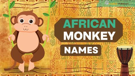 50+ African Names for Monkeys