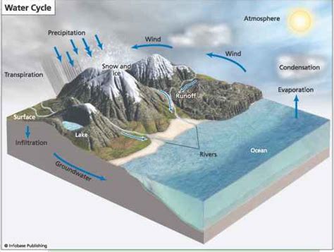 The Hydrologic Cycle - Earth Surface - Climate Policy Watcher