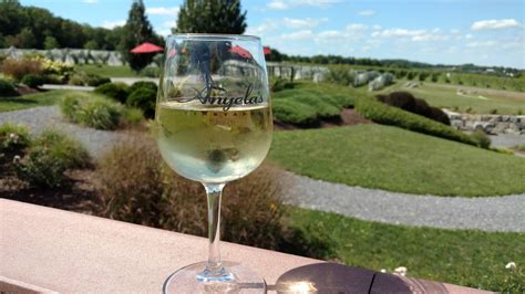 Pandora's Box: Anyela's Vineyards in Skaneateles, NY