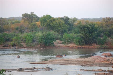 Letaba River, Kruger Park | African wildlife, Kruger national park, Southern africa