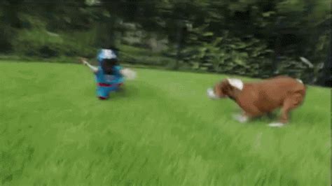 Dog Players - Football GIF - Football Dogs Players - Discover & Share GIFs