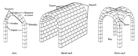 [DIAGRAM] Male Groin Diagram - WIRINGSCHEMA.COM