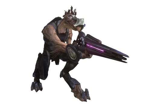 Image - H3 Jackal Sniper transparent (1).png | Halo Nation | FANDOM powered by Wikia