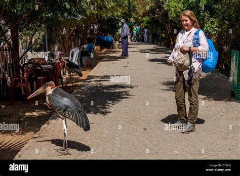 Lakeshore Trail, Lake Hawassa, Hawassa, Ethiopia Stock Photo - Alamy