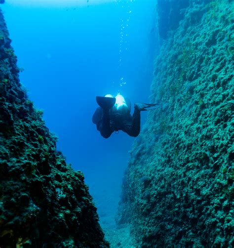 The Ultimate Dive Watch Used While Diving Photo Thread | Page 20 | WatchUSeek Watch Forums