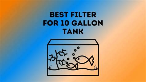 Best Filter For 10 Gallon Tank - Pet Feeder Tips