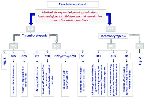 Diagnostic approach for suspected cases of inherited platelet function... | Download Scientific ...