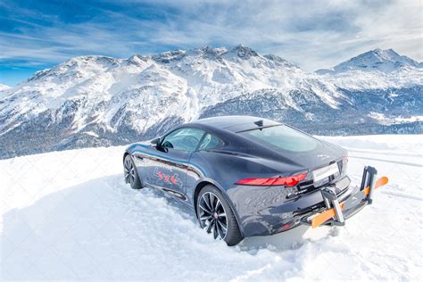 Jaguar In The Snow - Stock Photos | Motion Array