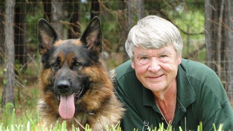 German Shepherd Breeders Near St. John's Newfoundland and Labrador