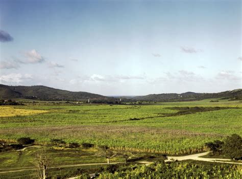 Puerto Rico: Farm, 1941. /Nsugarcane Plantations In Yabucoa Valley, Puerto Rico. Photograph By ...