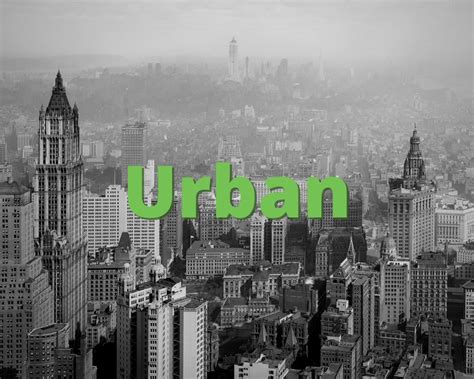 Urban Slang Term » What does Urban mean? » Slang.org