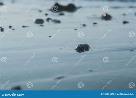 The Small Waves on the Beach Stock Photo - Image of nature, stone ...