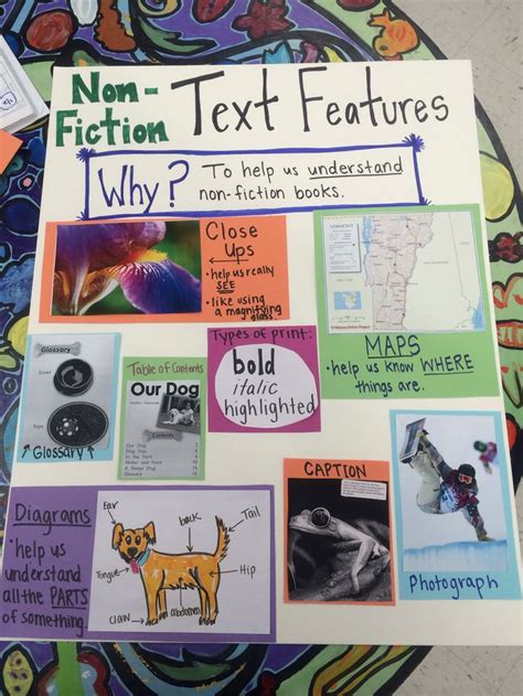 Non fiction text features with relevant examples | Nonfiction texts, Nonfiction text features ...