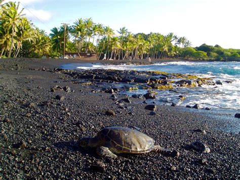 Punaluʻu Black Sand Beach (Big Island): Turtles, swimming and snorkeling