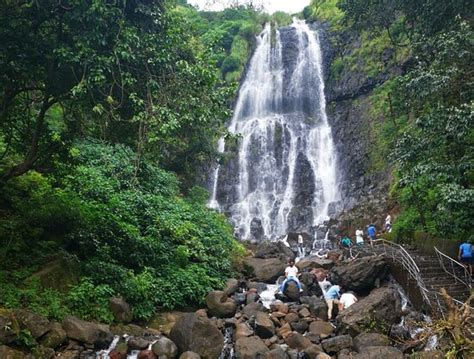 Amboli Water Falls - 2020 What to Know Before You Go (with Photos) - Tripadvisor