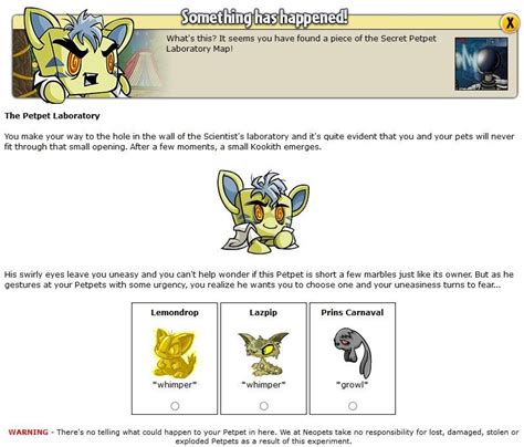 I got a piece of Secret Petpet Laboratory map in the Secret Petpet Laboratory : neopets