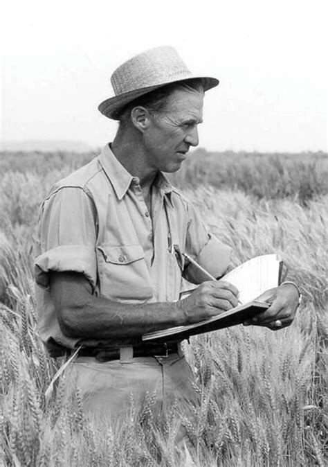 The Borlaug Legacy: Helping feed the world - AgriLife Today