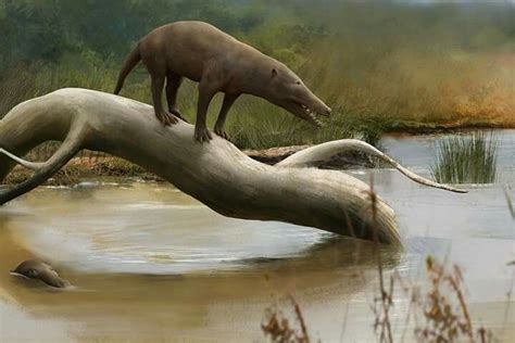 Pakicetus by Lucas Lima for Earth Archives | Prehistoric animals ...