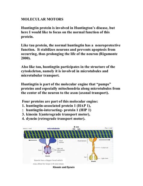 Molecular motors