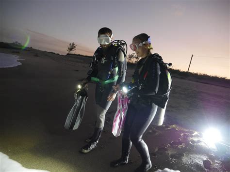 Night Diving - Pure Diving Aruba