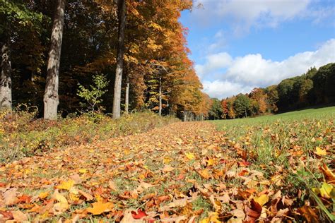 Fall Foliage in Vermont! | Guilford Sound