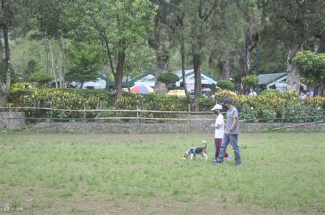 Burnham Park Guided Walking Tour in Baguio - Klook