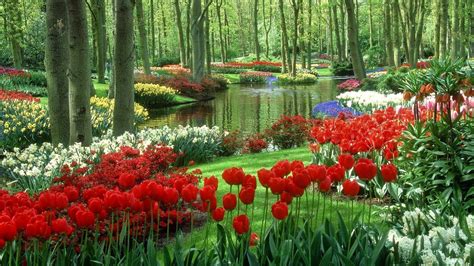 Flower Garden Art Wallpapers - Wallpaper Cave