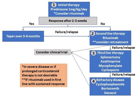 Hemolytic Anemia Treatment