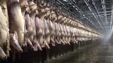 Why We Don't Know How Many Workers Are Injured At Slaughterhouses : The Salt : NPR