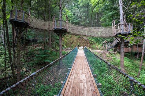 Foxfire Mountain Adventure Park in the Great Smoky Mountains