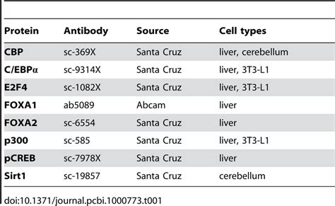 Anti-sera used in ChIP experiments. | Download Table