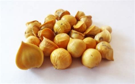 Top 5 Health Benefits of Himalayan Single Clove Garlic - GOQii